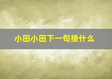 小田小田下一句接什么