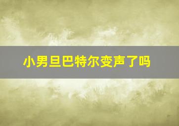 小男旦巴特尔变声了吗