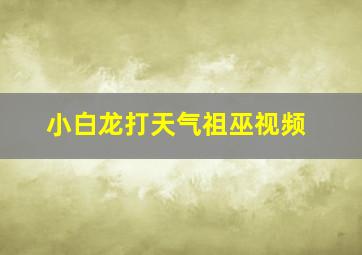 小白龙打天气祖巫视频