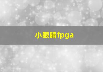 小眼睛fpga