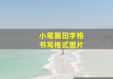 小笔画田字格书写格式图片