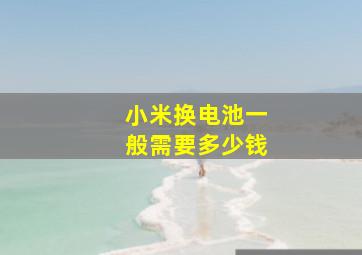 小米换电池一般需要多少钱