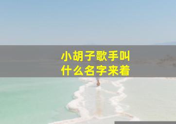 小胡子歌手叫什么名字来着