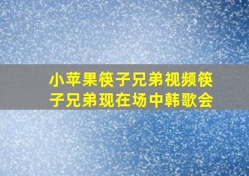 小苹果筷子兄弟视频筷子兄弟现在场中韩歌会