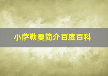 小萨勒曼简介百度百科