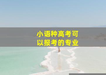 小语种高考可以报考的专业