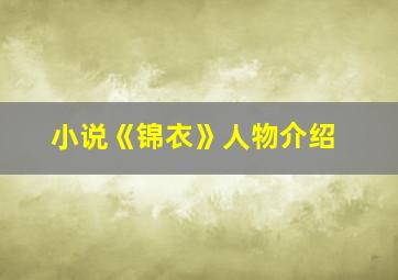 小说《锦衣》人物介绍