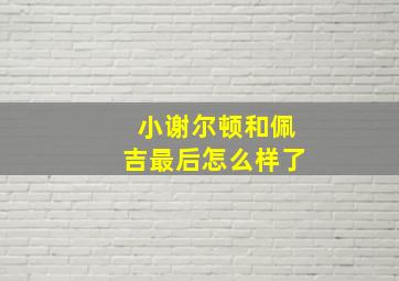 小谢尔顿和佩吉最后怎么样了