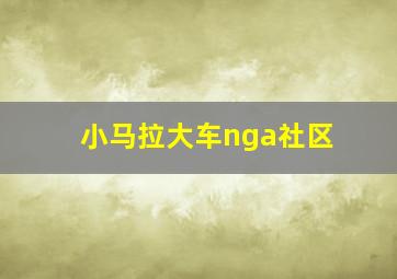 小马拉大车nga社区