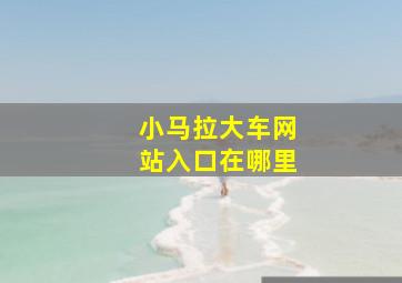 小马拉大车网站入口在哪里