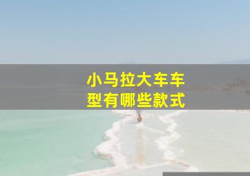 小马拉大车车型有哪些款式