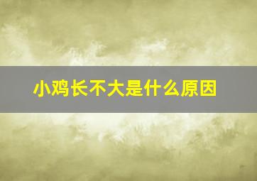 小鸡长不大是什么原因