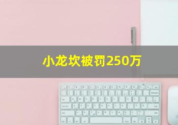 小龙坎被罚250万