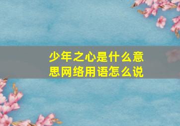 少年之心是什么意思网络用语怎么说