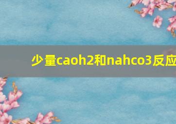 少量caoh2和nahco3反应