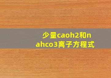 少量caoh2和nahco3离子方程式