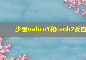 少量nahco3和caoh2反应