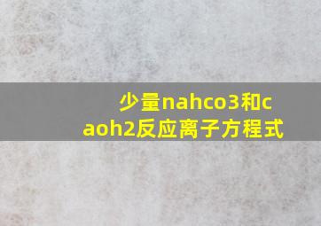 少量nahco3和caoh2反应离子方程式