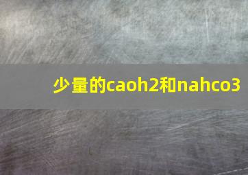 少量的caoh2和nahco3