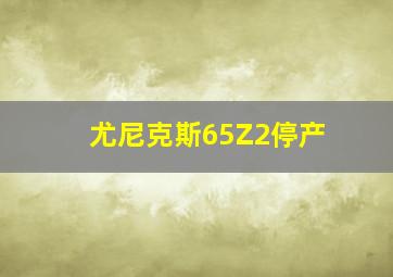 尤尼克斯65Z2停产