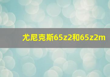 尤尼克斯65z2和65z2m