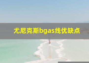 尤尼克斯bgas线优缺点