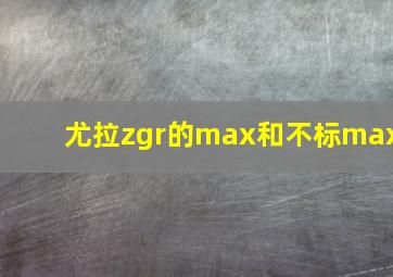 尤拉zgr的max和不标max