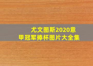 尤文图斯2020意甲冠军捧杯图片大全集