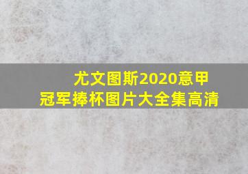 尤文图斯2020意甲冠军捧杯图片大全集高清