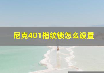 尼克401指纹锁怎么设置