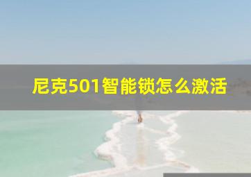 尼克501智能锁怎么激活