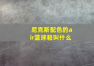 尼克斯配色的air篮球鞋叫什么