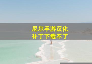 尼尔手游汉化补丁下载不了