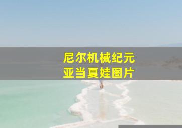 尼尔机械纪元亚当夏娃图片