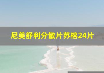 尼美舒利分散片苏榕24片