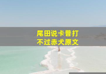 尾田说卡普打不过赤犬原文