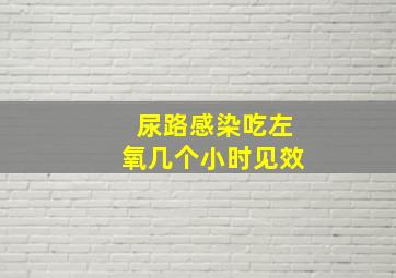 尿路感染吃左氧几个小时见效