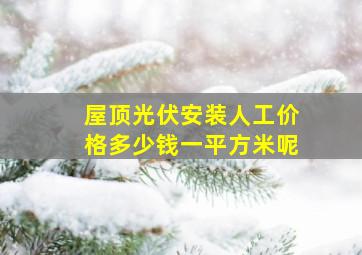 屋顶光伏安装人工价格多少钱一平方米呢