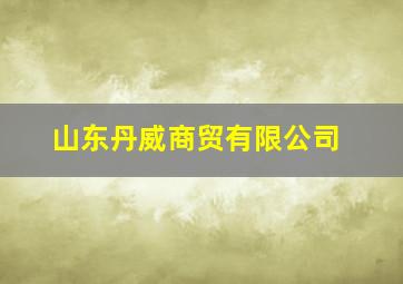 山东丹威商贸有限公司