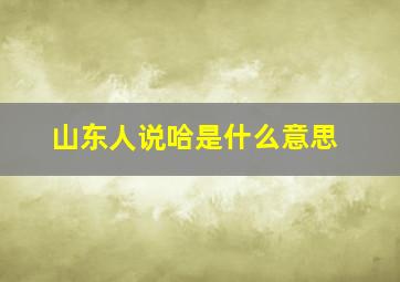 山东人说哈是什么意思