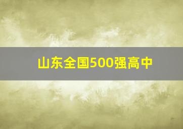 山东全国500强高中