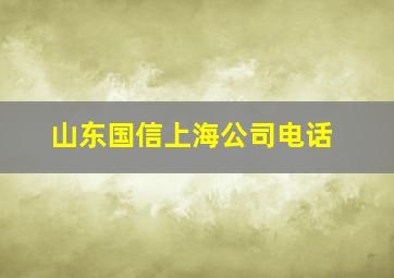 山东国信上海公司电话