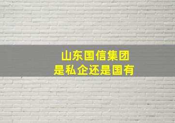 山东国信集团是私企还是国有