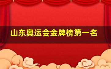 山东奥运会金牌榜第一名