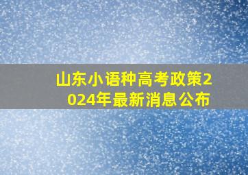 山东小语种高考政策2024年最新消息公布