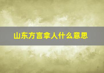 山东方言拿人什么意思