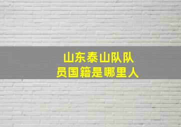 山东泰山队队员国籍是哪里人