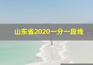 山东省2020一分一段线