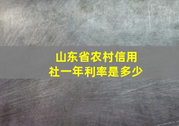 山东省农村信用社一年利率是多少