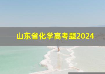 山东省化学高考题2024